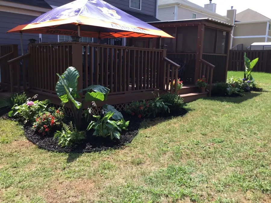 Mulched bed with plants beside a wood deck