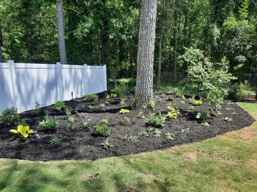 Fresh black mulch bed with young plants beside a white fence