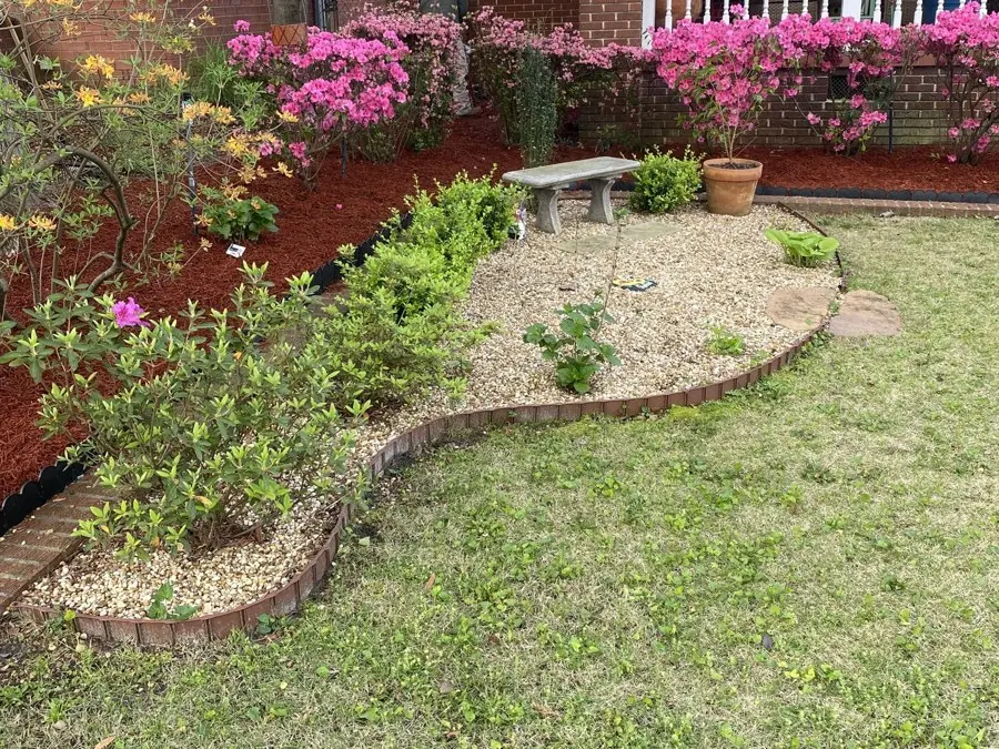 Curving mulched bed with blooming azaleas